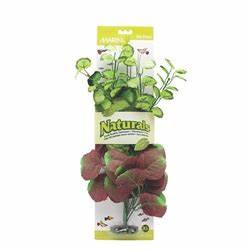 Marina Naturals Decor - Image 2