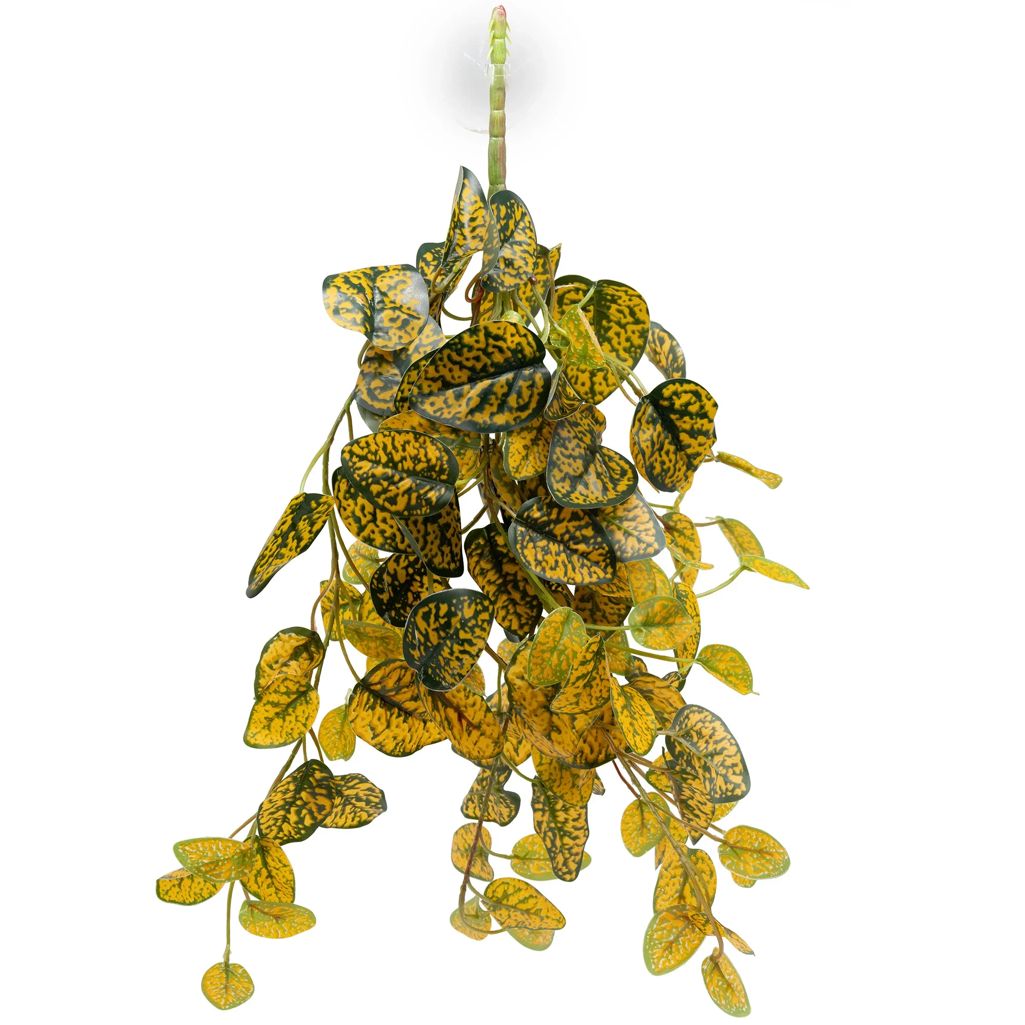Pangea Hanging Plants - Image 9