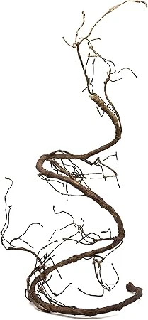 Pangea Ultimate Reptile Vine